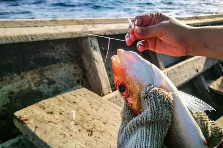 do fish feel pain when hooked​