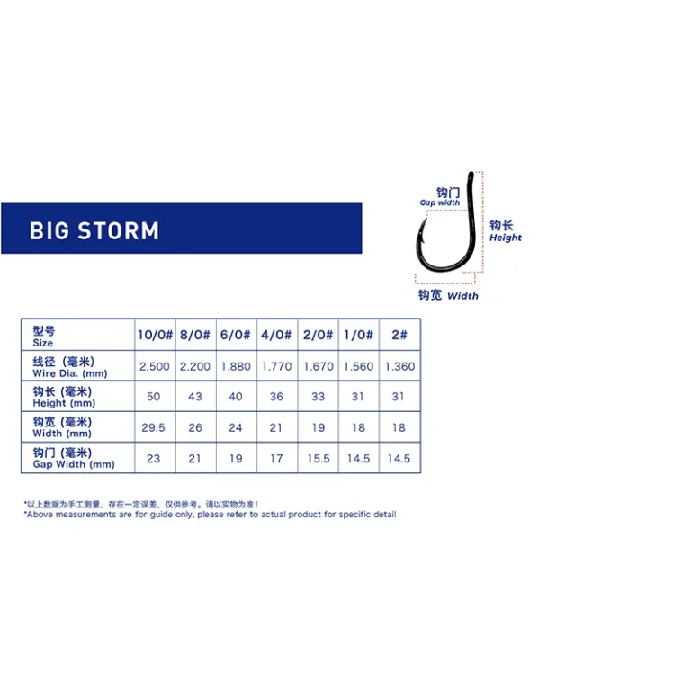 BIG STORM (small)